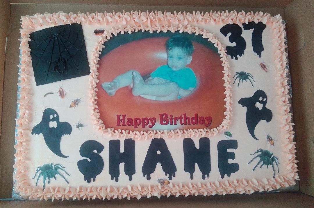 Quarter Sheet 1-Layer Cake (local delivery and pick-up only)